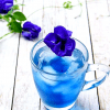 Butterfly Pea (Blue Tea)